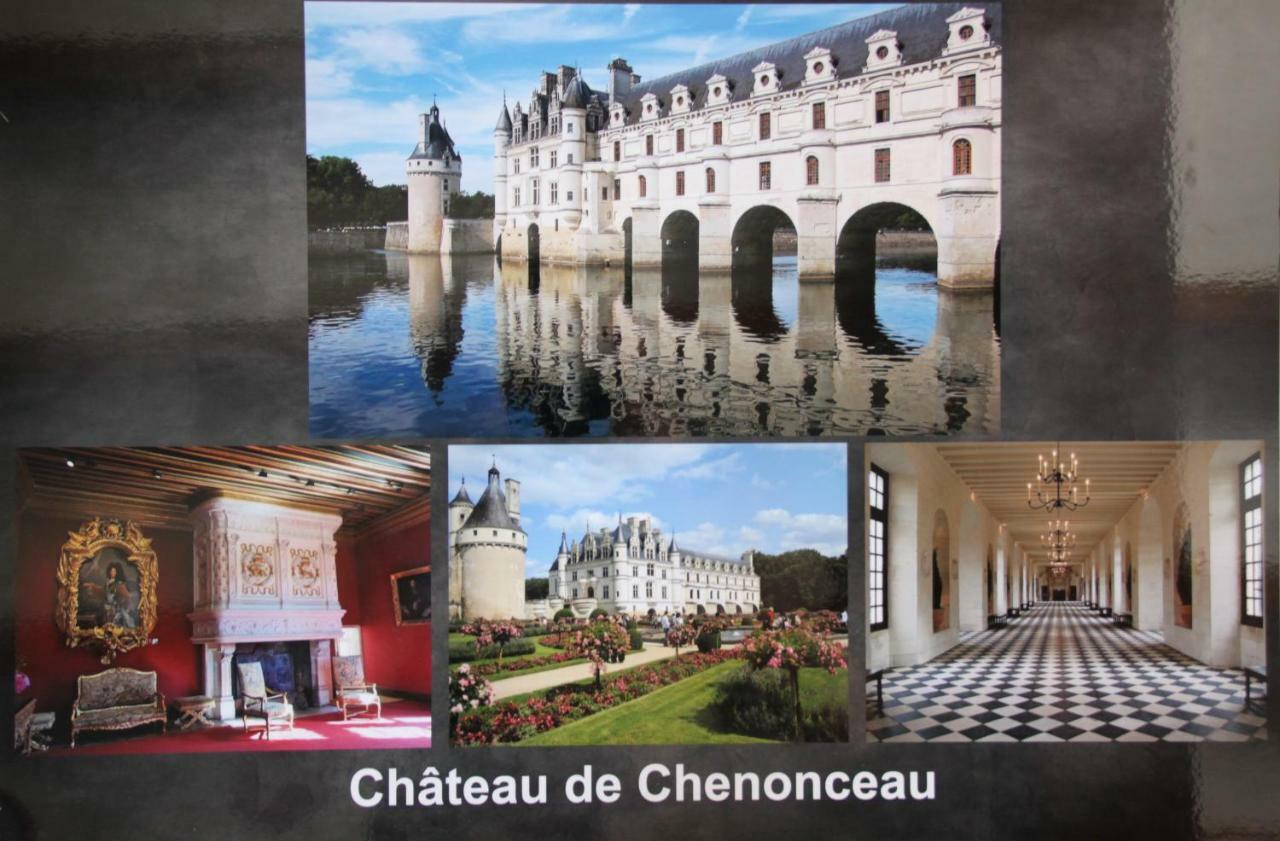 Appartement Sur les toits d'Amboise Extérieur photo